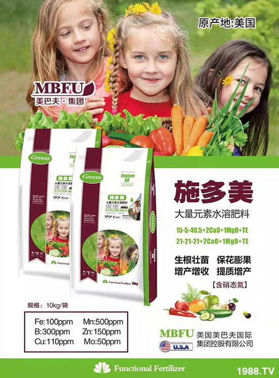 �����ͷ�ף��2020���������ؔԴ�L�L���Ҹ��M�M��2020���������ã�