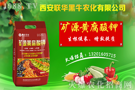 秋季果樹(shù)該如何管理？秋季果樹(shù)管理應(yīng)避免的四大誤區(qū)！