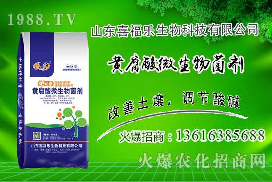 花生價(jià)格穩(wěn)中偏強(qiáng)！2020年10月14日花生價(jià)格行情分析