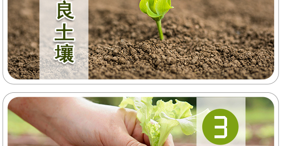 生物有機中量元素肥-好施特_07