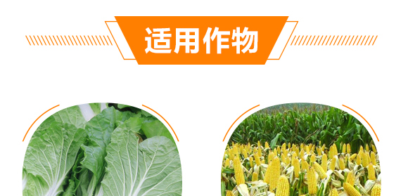 生物有機(jī)多元肥-好施特_09