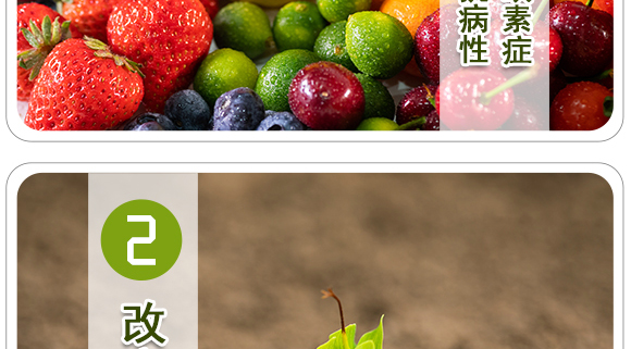 生物有機中量元素肥-好施特_06