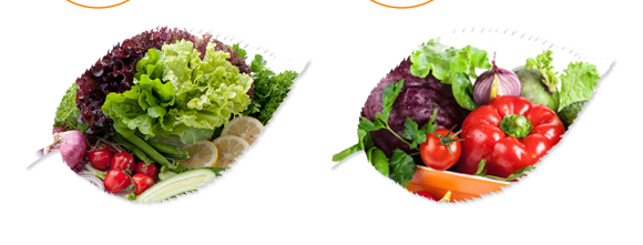 生物有機(jī)多元肥-好施特_08