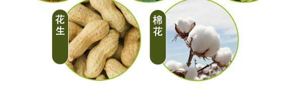 生物有機中量元素肥-好施特_11