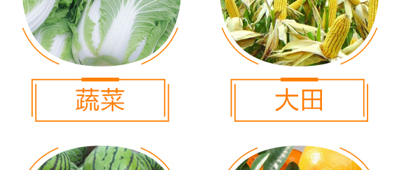 生物有機(jī)多元肥-好施特_10