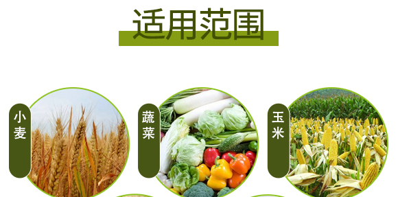 生物有機中量元素肥-好施特_10