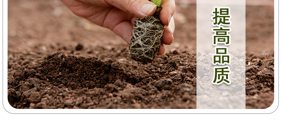 生物有機中量元素肥-好施特_08