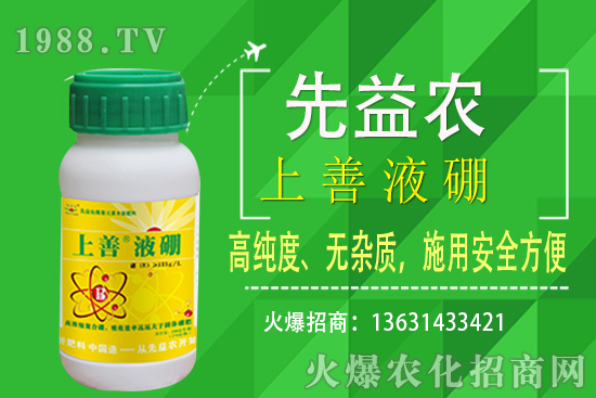 枇杷種植條件有哪些？枇杷種植要怎么施肥？