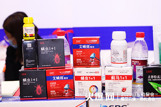 ɽ�|������2020ɽ�|ֲ����(hu��)���W���ǈ�(ch��ng)����Ź����