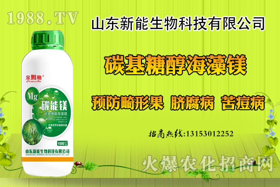 ���������ݮ���ι�ԭ�������F(xi��n)���ι���ô������