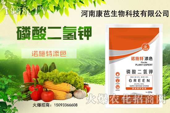 �������￹�����������⛼����������������8����