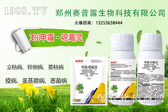 ��ʲô˪ù����⧵����װl(f��)���y������