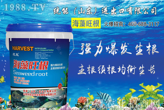 小麥價(jià)格大范圍上漲！預(yù)計(jì)小麥價(jià)格將突破1.25元/斤