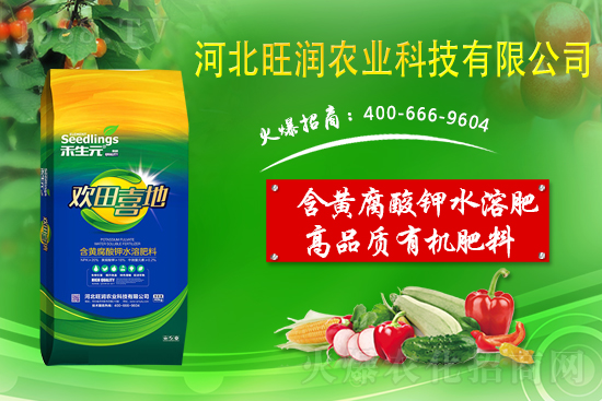 果園反光膜怎么鋪效果好？果園鋪反光膜五要點！