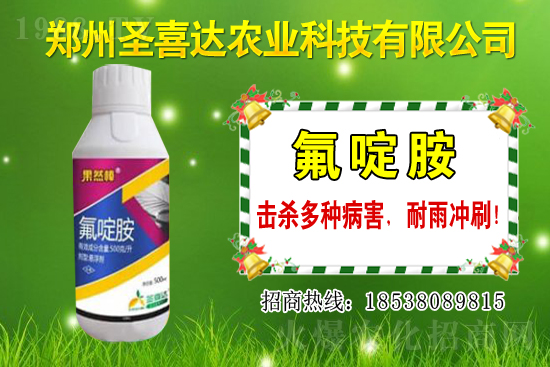 生姜播種方法有哪些？生姜可以和什么作物套種？