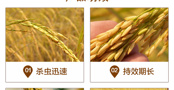 甲維·茚蟲威-振華化工_05