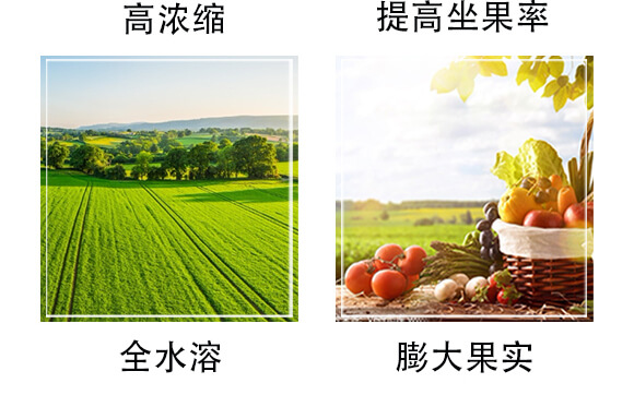 ���ԭҺ-�W���r(n��ng)�I(y��)_06