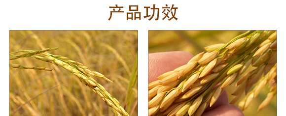 作物防病增產(chǎn)套餐-美多收-賽普露_04