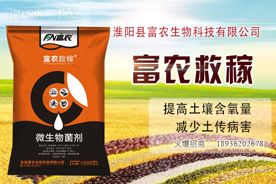 2020-11-24�ո��ػ����r(ji��)������