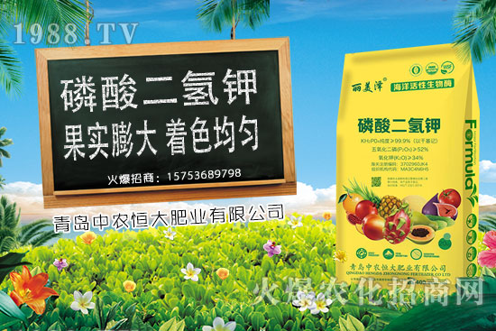 ����С���r(ji��)���ϝq�������Ƿ��(hu��)���m(x��)�ϝq��