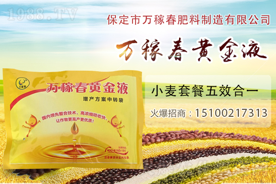 種植大蒜為什么要覆蓋地膜？地膜大蒜高產(chǎn)栽培及注意事項(xiàng)！