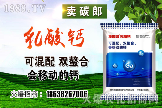 ���������^��С���r�����w��λڅ��(w��n)��