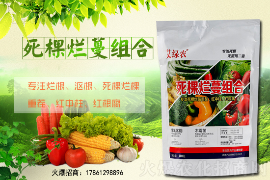 ����ʩ����ʲô�r�g�m�������٘䶬��ԓ��ô������