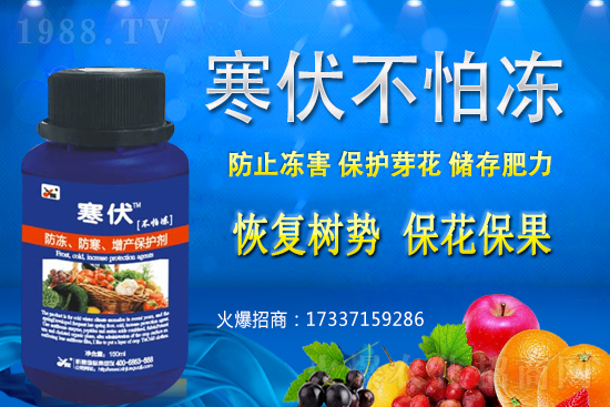 小麥凍害發(fā)生后該怎么辦？補(bǔ)救措施有哪些？小麥凍害和藥害如何區(qū)分？