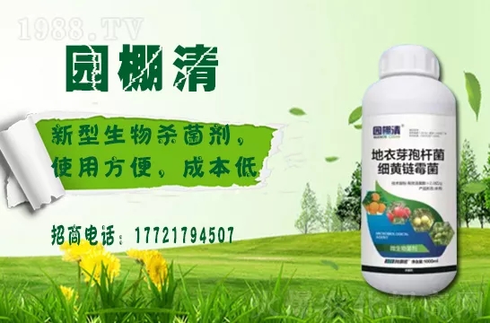 磷酸二氫鉀冬天用效果好嗎？磷酸二氫鉀如何提升植物抗寒能力的？