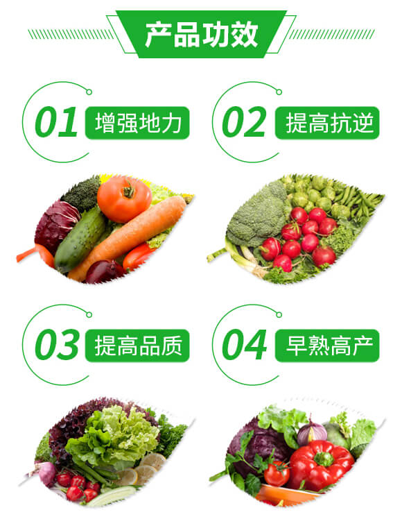 農用微生物菌劑-核苷·聚谷氨酸顆粒-五易生_03