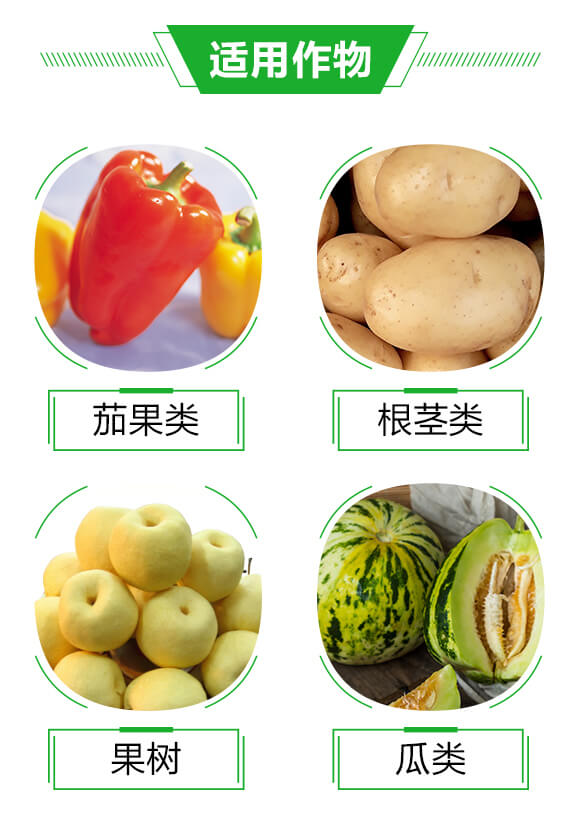 農用微生物菌劑-核苷·聚谷氨酸顆粒-五易生_04