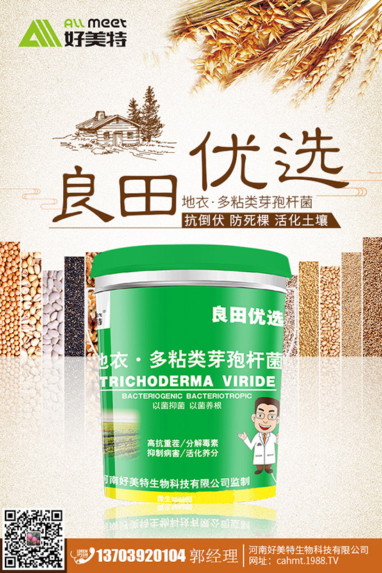 番茄青皮果到底什么原因？番茄青皮果如何有效預(yù)防？