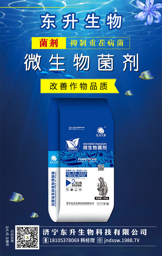 韭菜品種有哪些？韭菜的養(yǎng)殖注意事項！