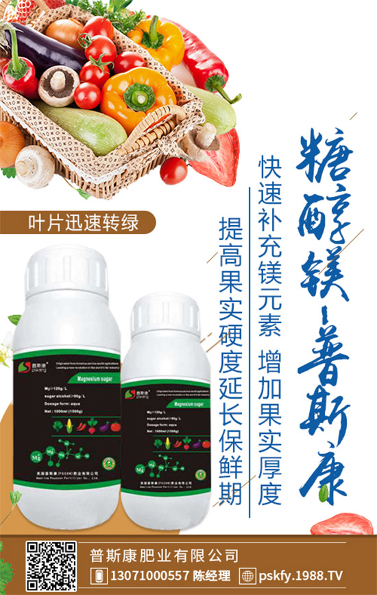 ��(zh��n)�Ժ�������������˹���ʘI(y��)�y��1988.TV�ل�(chu��ng)�x����