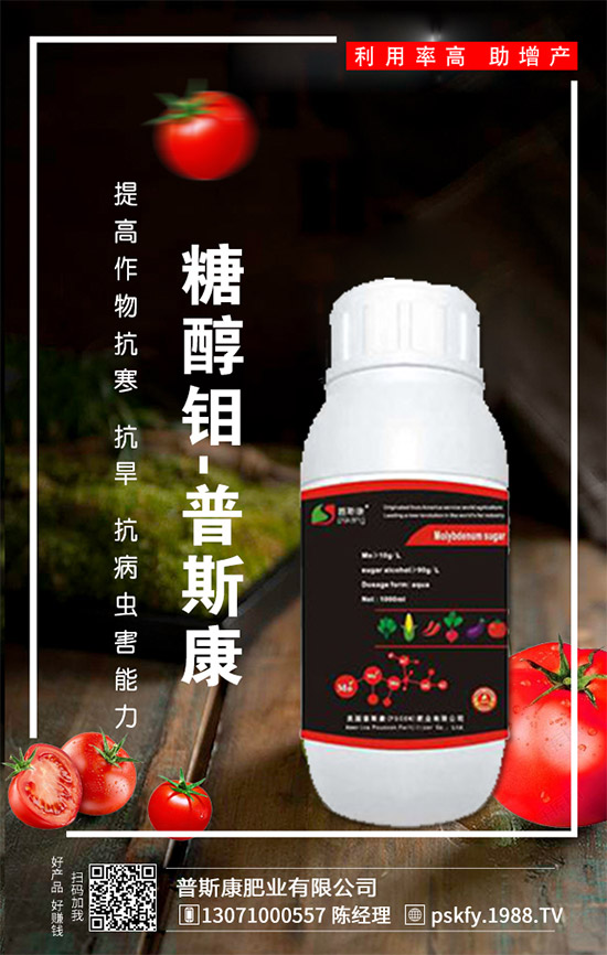 ��(zh��n)�Ժ�������������˹���ʘI(y��)�y��1988.TV�ل�(chu��ng)�x����