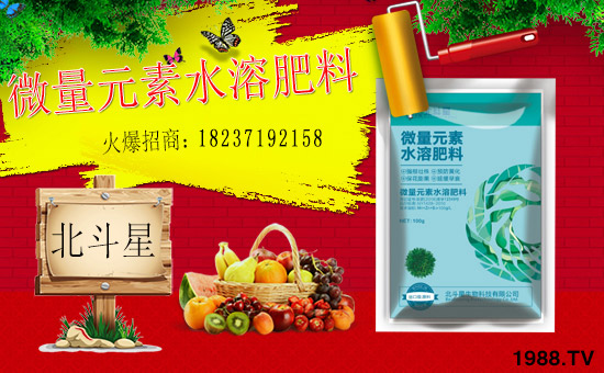 1988.TVϲӭ�»�������ϱ����ǔy��1988.TV���Aδ����