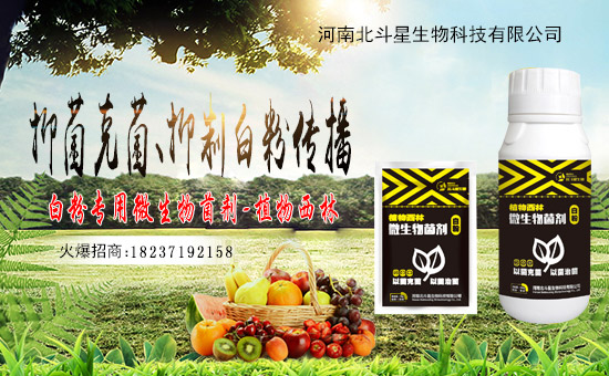 1988.TVϲӭ�»�飬���ϱ����ǔy��1988.TV���Aδ����