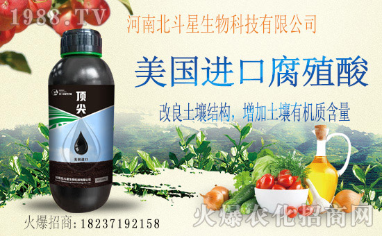 1988.TVϲӭ�»�飬���ϱ����ǔy��1988.TV���Aδ����