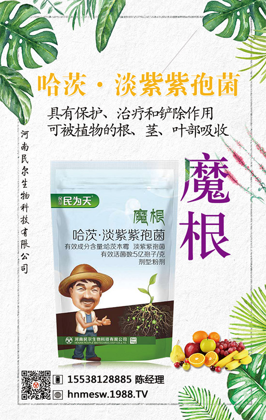 ��������(j��)���������ٺ�1988.TV������(chu��ng)���x����