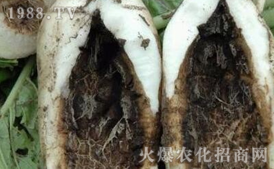 �}���ڸ����İY����}���ڸ����ķ�����