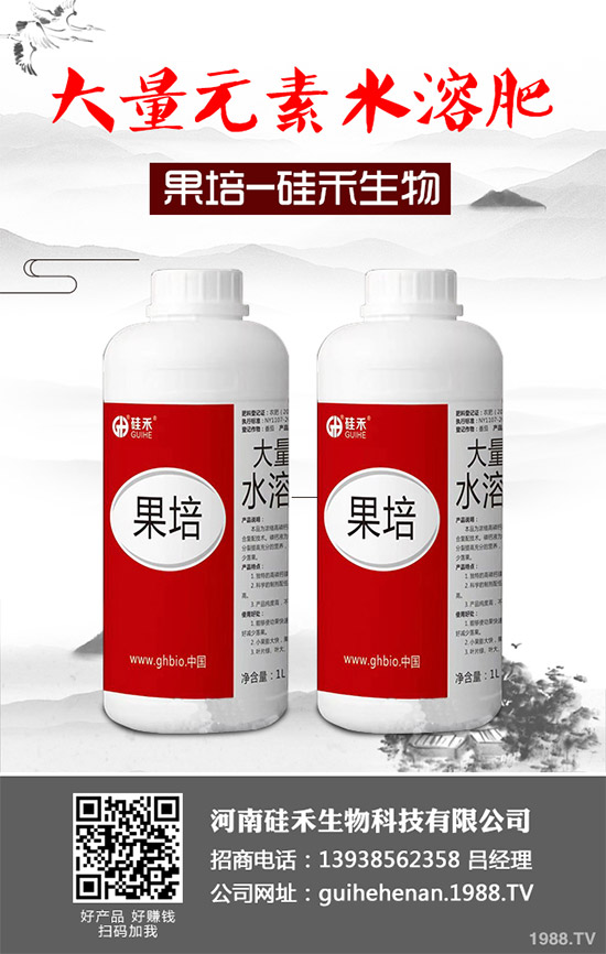 �������\�°l(f��)չ�����Ϲ�������ٴκ��s1988.TV��