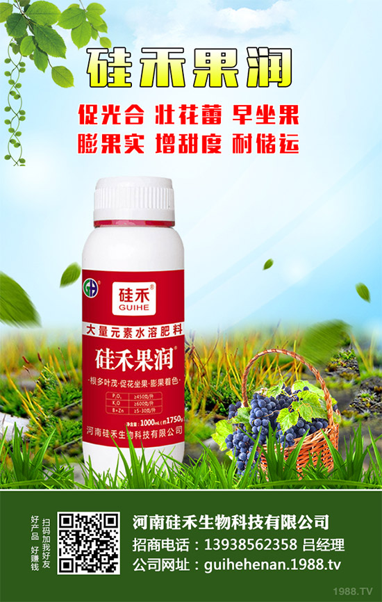 �������\�°l(f��)չ�����Ϲ�������ٴκ��s1988.TV��