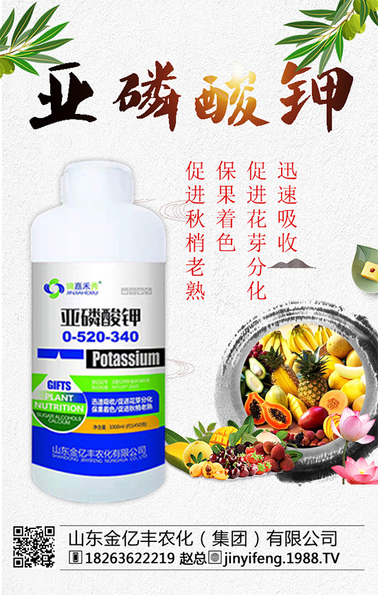 ��(zh��n)�Ժ�����������ɽ�|���|�S�ٺ�1988.TV���A2020��