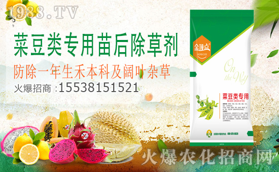 �r(n��ng)���W(w��ng)ϲӭ�����ѣ��ŝ��r(n��ng)�I(y��)���݁��u��