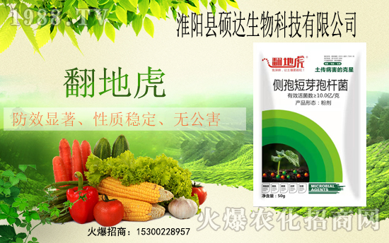 ���r(n��ng)���W(w��ng)ϲӭ���������T�_(d��)����𱬁��u�����v�ɹ���