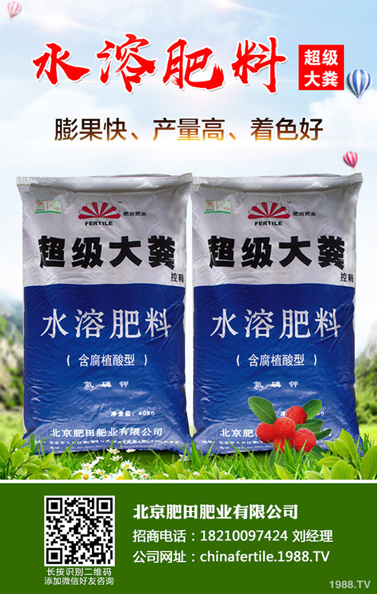 葡萄春季管理到底要做些什么？春季葡萄管理技術(shù)！