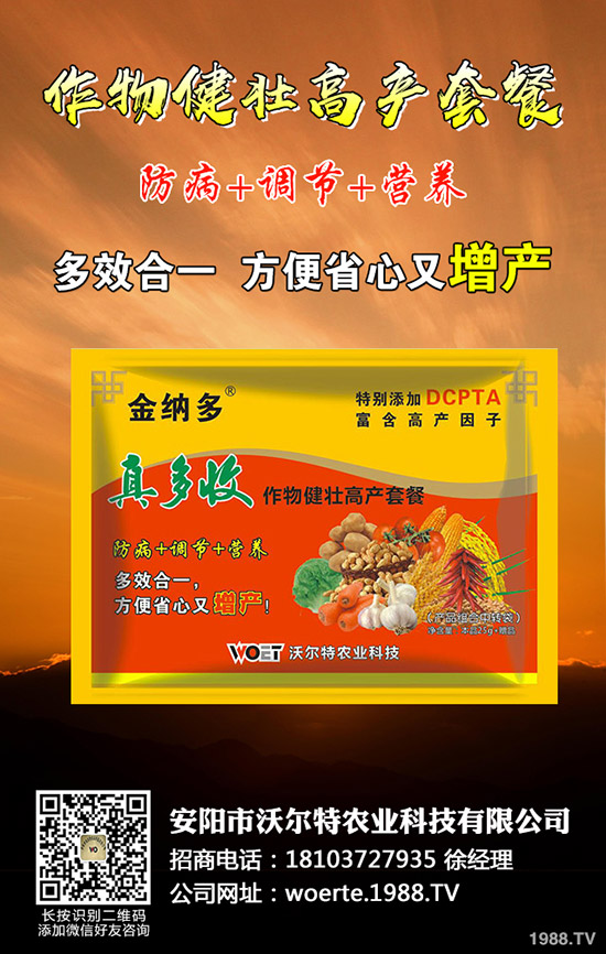 ������ô�N����������ѷNֲ�r�g�����༼�g(sh��)��