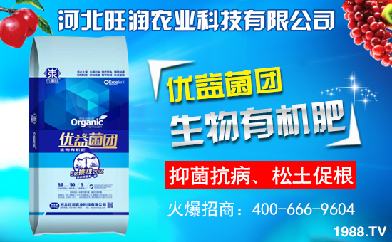 �ӱ������r(n��ng)�I(y��)�m(x��)�s1988.TV�����\�����°l(f��)չ��