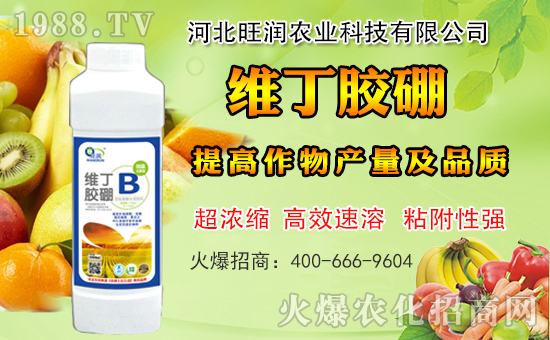 �ӱ������r(n��ng)�I(y��)�m(x��)�s1988.TV�����\�����°l(f��)չ��