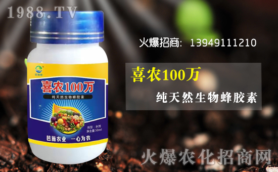 ��(zh��n)�Ժ��������������ϰ�ʩ�G�r(n��ng)�I(y��)�y��1988.TV�ل�(chu��ng)�x����